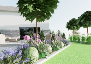 widok na rabatę przy tarasie z drzewami i trawami ozdobnym, widać kule z bukszpanu i kwitnące czosnki