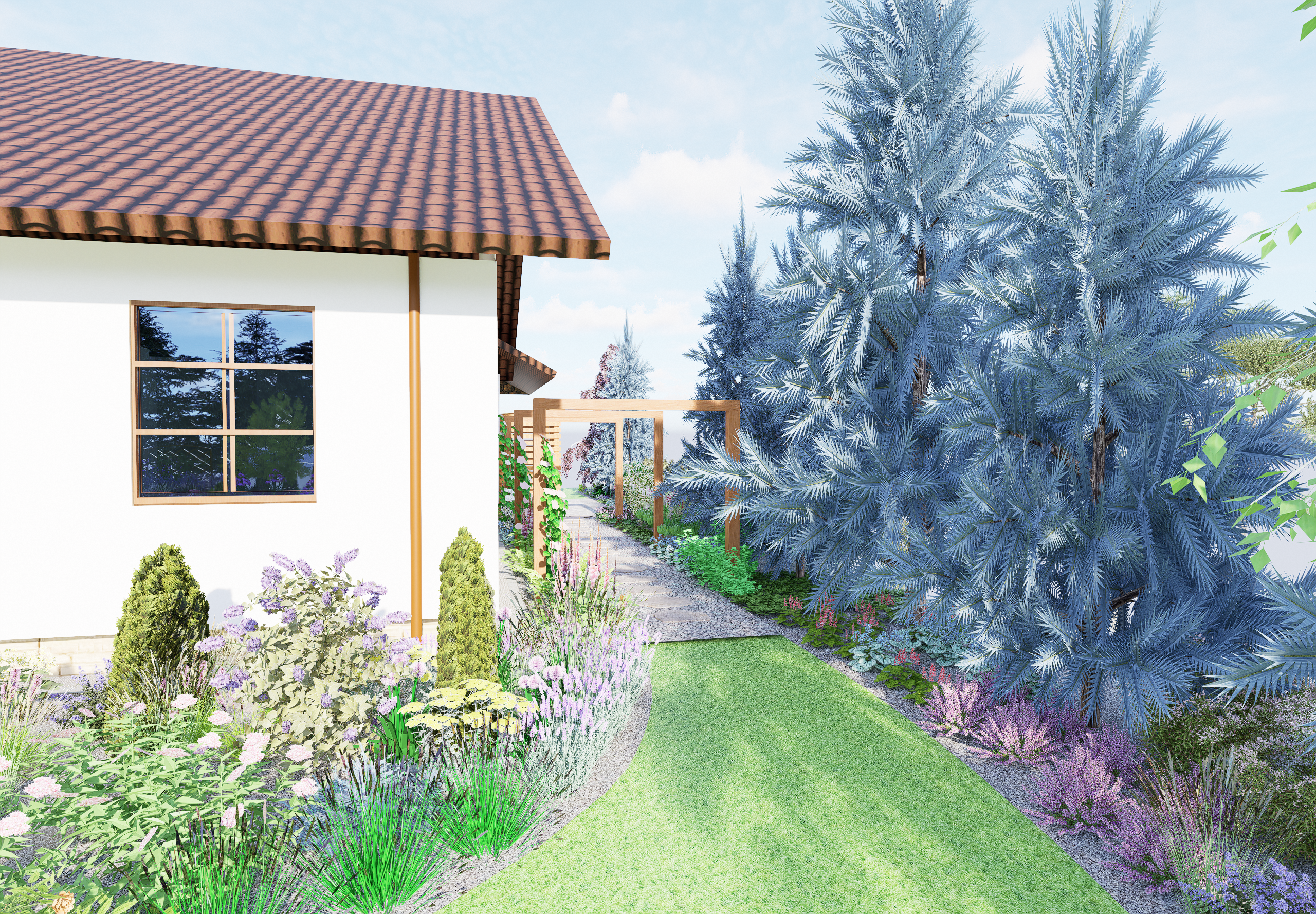 widok na przejście za domem, duże świerki i nowe nasadzenia pod nimi, pergola pod pnącza