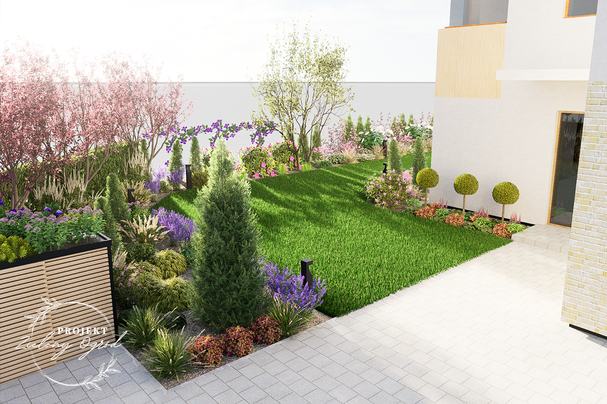 przedogródek - trawnik otoczony kwitnącymi rabatami w ogrodzie przy bliźniaku