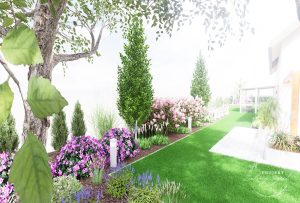 Kolorowa rabata w ogrodzie w mazowieckim, kwitnące rododendrony i hortensje