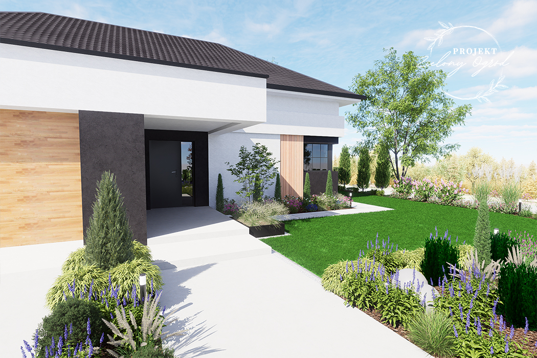 ogród pod Warszawą z rabatami z bylin, traw ozdobnych i krzewów zimozielonych